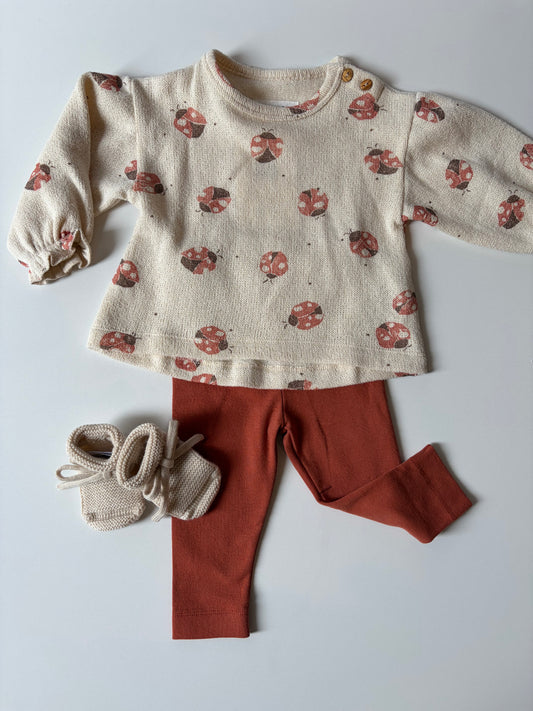 Play Up | Jersey Sweater Lieveheersbeestje | Sketches