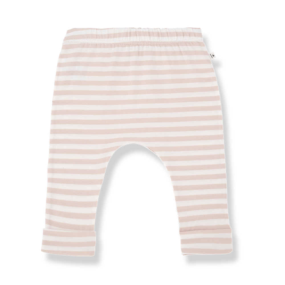 1+ In The Family | Legging Saul | Blossom - 